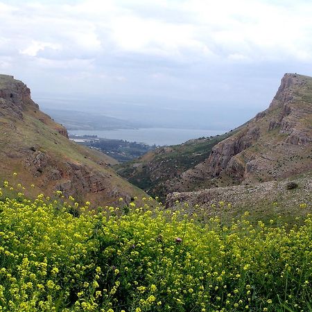 Arbel Holiday Homes Extérieur photo