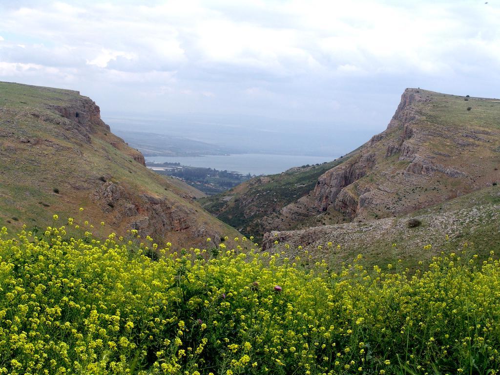 Arbel Holiday Homes Extérieur photo